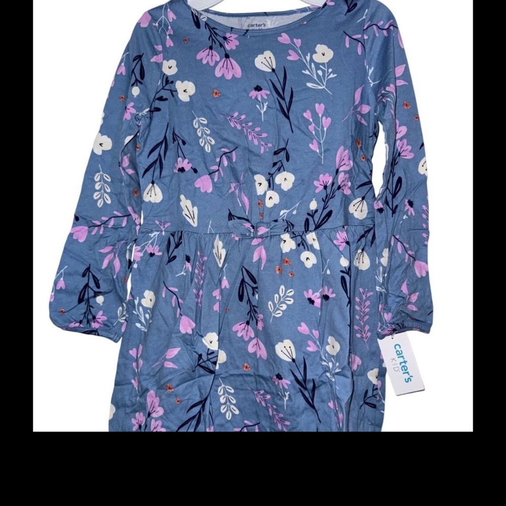 Carters Infant Floral Dress & Bloomer Set Blue Pink Size 8